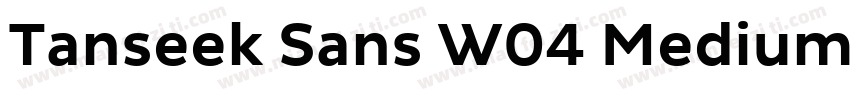 Tanseek Sans W04 Medium字体转换